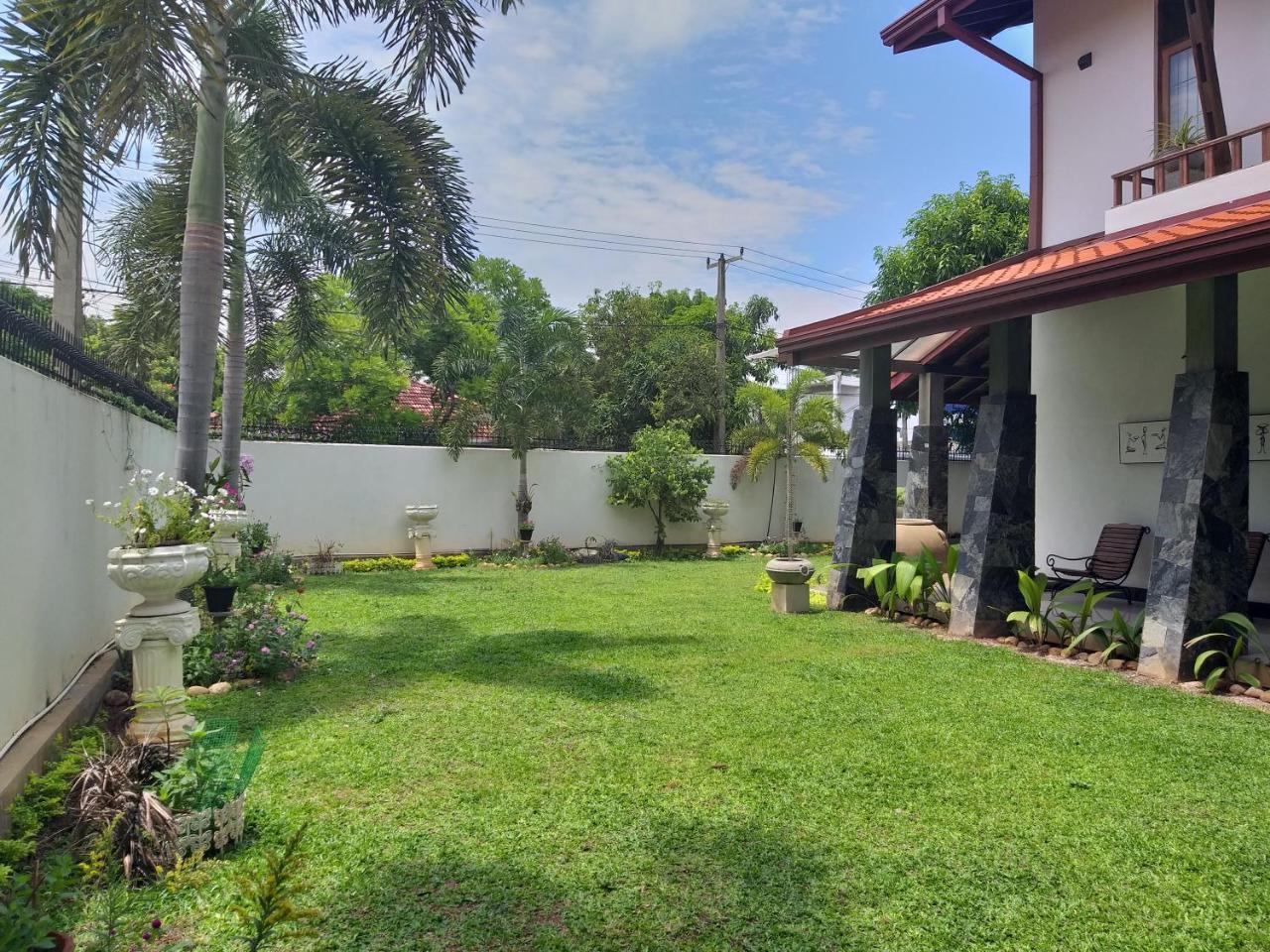 Cosy Nest Home Stay Negombo Zewnętrze zdjęcie